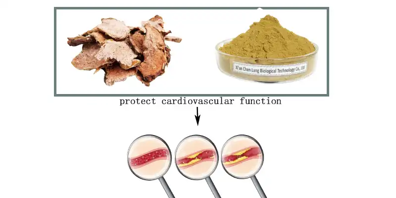 protect cardiovascular function.jpg